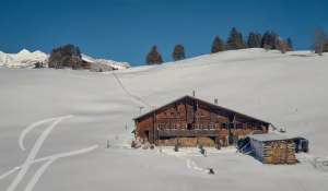 Saisonvermietungen Chalet Flendruz