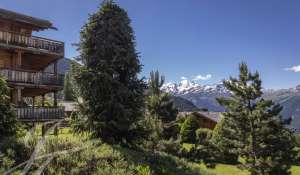 Verkauf Attic Verbier