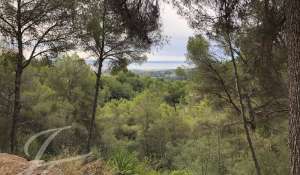 Verkauf Bauland Palma de Mallorca