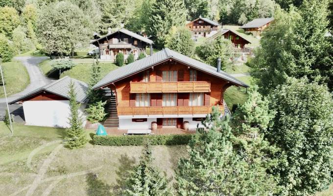 Verkauf Chalet Les Diablerets