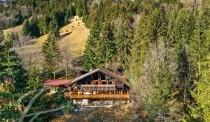 Verkauf Chalet Monthey