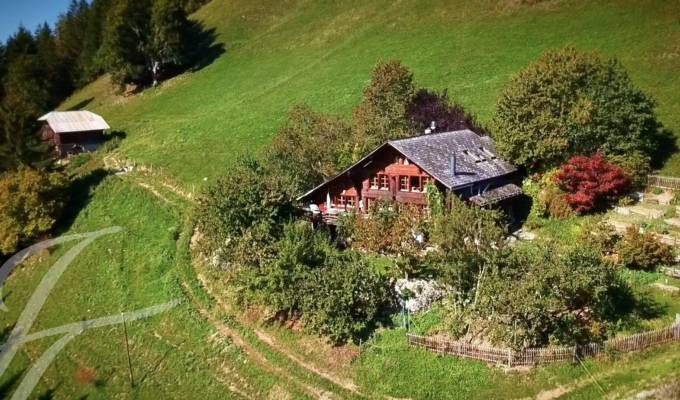 Verkauf Chalet Rougemont