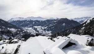 Verkauf Chalet Verbier