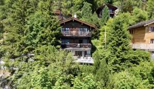 Verkauf Chalet Verbier