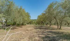 Verkauf Eigentum Châteauneuf-Grasse