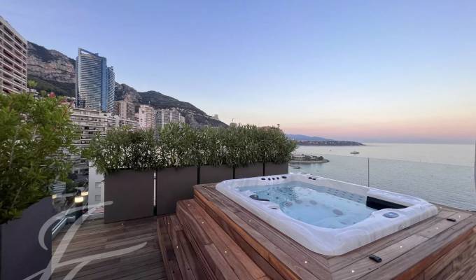 Verkauf Penthouse Monaco