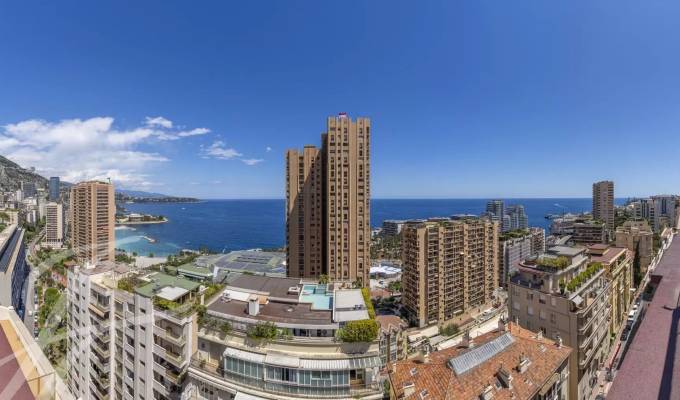 Verkauf Penthouse Monaco