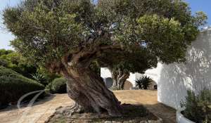 Verkauf Villa Ciutadella de Menorca