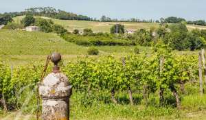 Verkauf Weingut Saint-Émilion