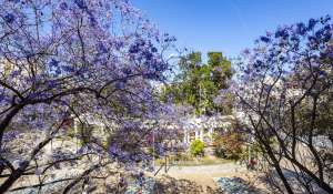 Verkauf Wohnung Palma de Mallorca